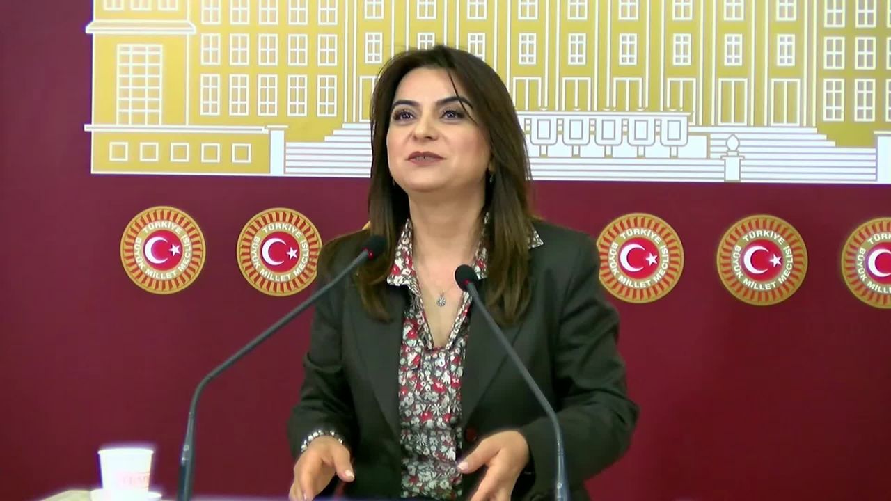 Gülistan Kılıç Koçyiğit: 'Yapılması gereken milyonların Nevroz meydanlarında haykırdıklarına saygı duymak, gereklerini yerine getirmek olmalıdır'
