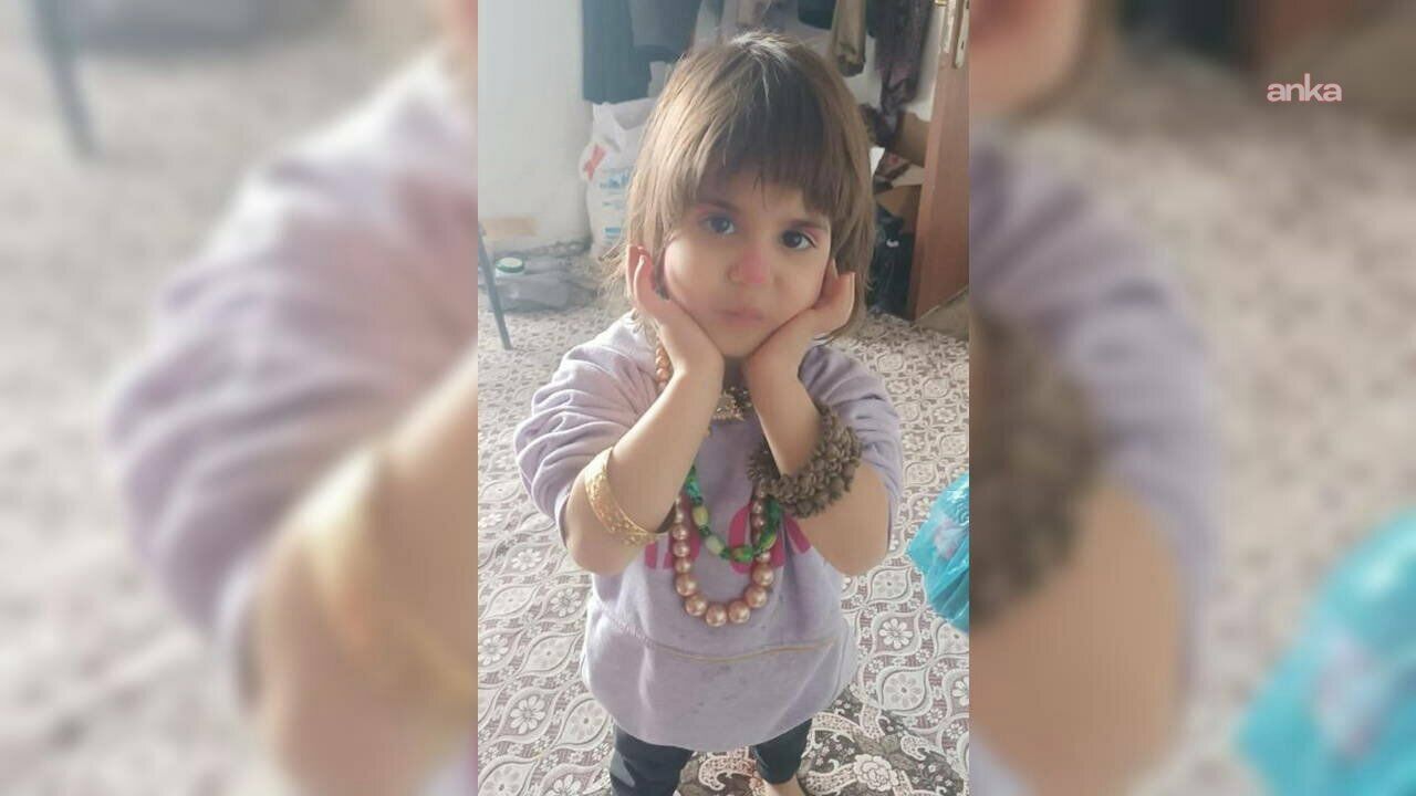 Bitlis'te kayıp 4 yaşındaki Rabia için ekipler seferber oldu