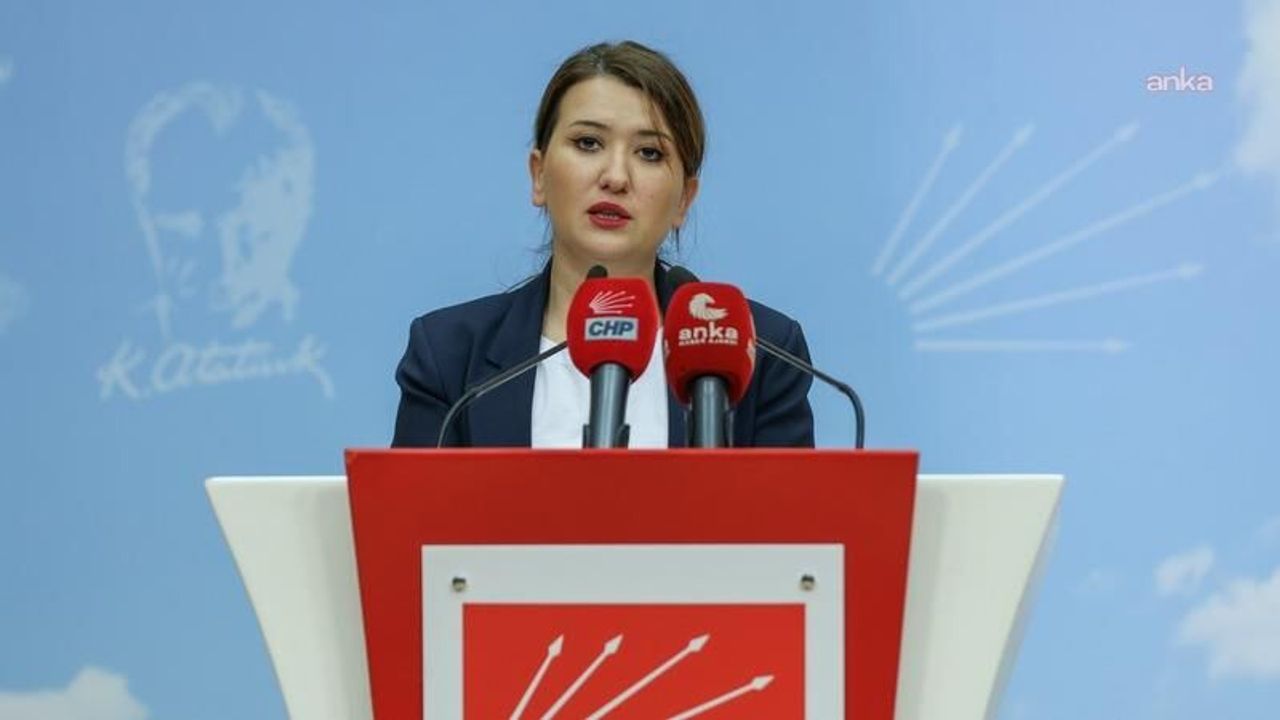 CHP'li Gökçen'den AK Parti'ye: 'İsrail hükümetinin en yakın ortağına karşı tam sessizlik, Türkiye'nin birinci partisine karşı hep seviyesizlik. Siz busunuz'
