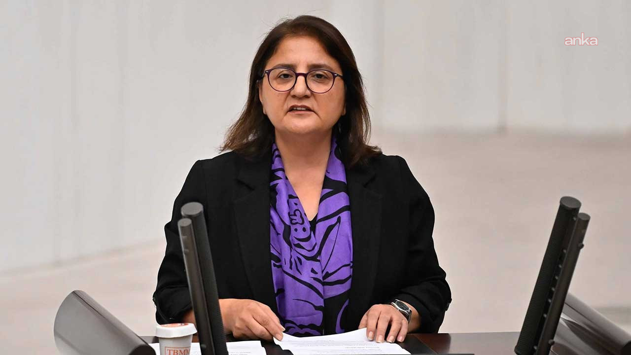 DEM Partili Kordu, Gülistan Doku için Meclis araştırması açılmasını istedi