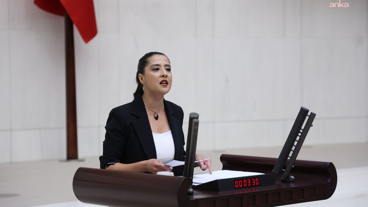 EMEP Gaziantep Milletvekili Sevda Karaca, Gülistan Doku soruşturmasında yaşanan gelişmeleri TBMM gündemine taşıdı