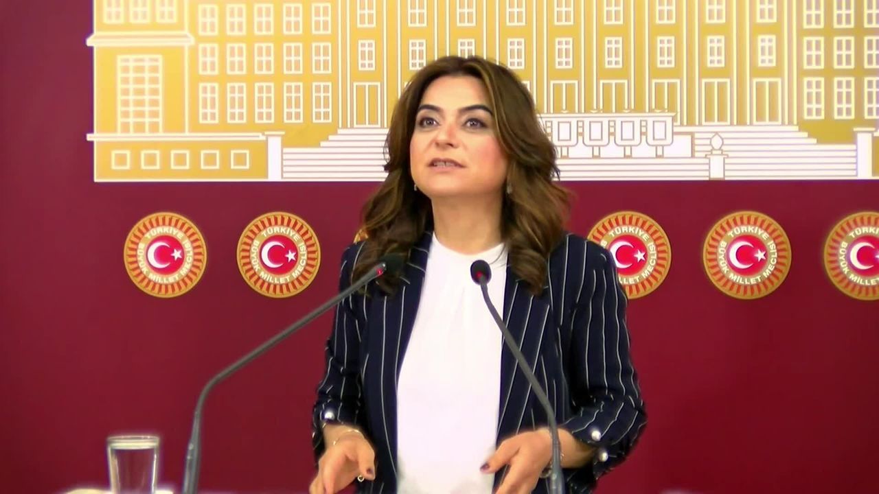 Gülistan Kılıç Koçyiğit'ten Gülistan Doku soruşturması için çağrı: 'Dönemin İçişleri Bakanı Süleyman Soylu da sorgulanmalı'