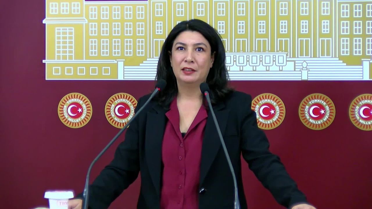 Halide Türkoğlu: 'Gülistan Doku olayı bu ülkenin kolluğunun, yargısının, kurumlarının nasıl çöktüğünün bir kez daha göstergesi olmuştur'