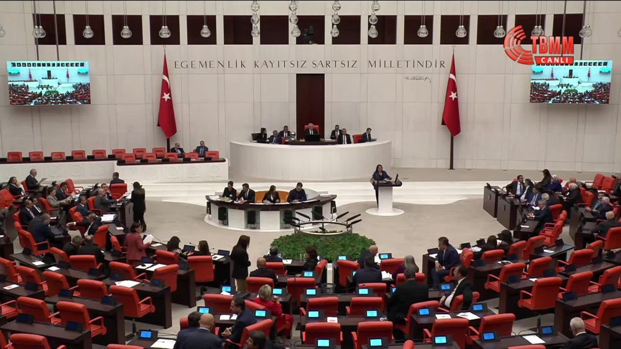 TBMM Genel Kurulu... CHP ve DEM Parti'nin Gülistan Doku soruşturmasına ilişkin araştırma önergesi AK Parti ve MHP oylarıyla reddedildi