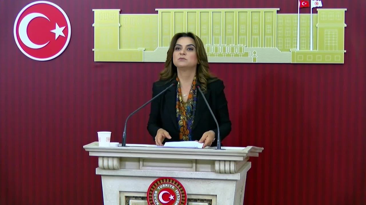 Gülistan Kılıç Koçyiğit'den 12. Yargı Paketi eleştirisi: 'Toplumun beklentilerine yanıt veren bir paket değildir'