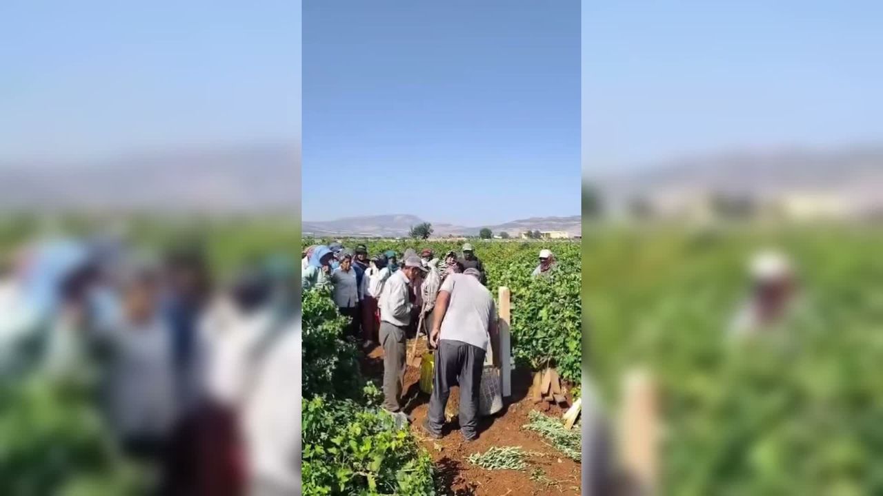 Kilis'te yaş üzüm fiyatına ilginç protesto: Bağlarda sela okuyup dua ettiler