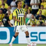 Fenerbahçe, Gornik Zabrze'yi 1-0 mağlup etti