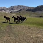 Tunceli'de 3 bin rakımda yayık mesaisi: Geleneksel üretim tüccarın düşük fiyatına direniyor