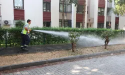 İstanbul Bakırköy'de temizlik seferberliğine devam