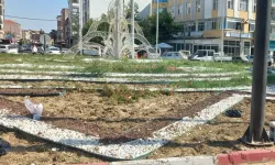 Manisa’da kurakçıl peyzajla hem tasarruf hem estetik