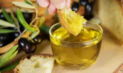 Zeytinci her 100 dolarlık ihracatının 25 dolarını ABD’ye yaptı
