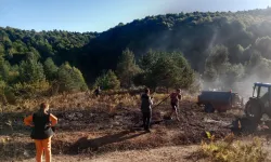 Bilecik Pazaryeri’nde alevler ormana ulaşmadan söndürüldü