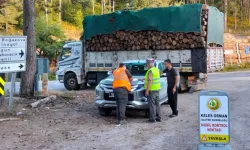 Bursa’da eş zamanlı orman emvali kontrolü