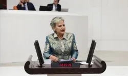 Milletvekili Özdemir öğrencilerin aç okula gitmesini TBMM'ye taşıdı