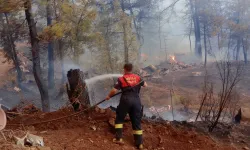 Muğla’da orman yangınlarına koordineli müdahale