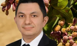 UKAB MYK Üyesi Büyükmurat: İthal fıstık çiftçiyi bitirir!