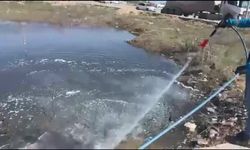 Adıyaman Belediyesi'nden yağışların ardından larva riskine karşı ilaçlama çalışması