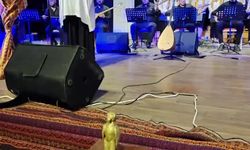 Adıyaman'da 8 Mart'a özel şehrin ilk Kadın Danışma Merkezi açılıyor