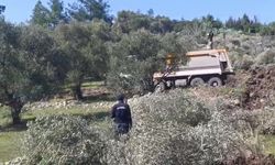 Akbelen'in ardından Çamköy'de zeytin ağacı sökümü