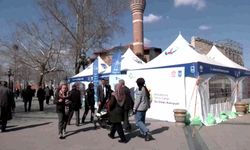 Ankara Büyükşehir Belediyesi'nden Dünya Böbrek Günü'ne özel sağlık etkinliği