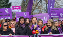 Arzu Çerkezoğlu: 'Eşdeğer işe eşit ücret hala en temel taleplerimizden biri'