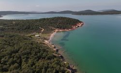 Ayvalık Adaları Tabiat Parkı'nda atık toplama ve izleme çalışması