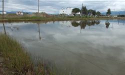 Balıkesir'in batı ilçelerinde etkili olan sağanak sonrası yazlıklar su altında kaldı