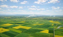 Bölge İdare Mahkemesi, Alpu Termik Santrali projesinde tarım arazileri için verilen izni iptal etti