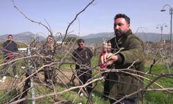 Buca'nın bağlarında geleceğin ziraat mühendisleri yetişiyor