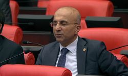 CHP'li Aşkın Genç: 'BDDK'nın kredi kartı borçlarını yapılandırma kararına rağmen vatandaşlar bankalarda sorun yaşıyor'