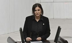 CHP'li Elçi, İçişleri Bakanı Çiftçi'ye Kadıköy'de polis çevirmesinde gözaltına alınan gence işkence ve kötü muamele iddialarını sordu