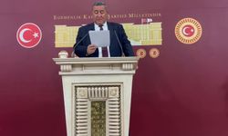 CHP'li Gürer'den, Tarım Orman ve Köyişleri Komisyonu'nda kabul edilen teklife tepki: 'Teklifte doğayı ticarileştirme yer almaktadır'
