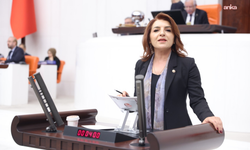 CHP'li Kış: 'Bir ülkede 6,7 milyon genç ne eğitimde ne istihdamdaysa gerçek işsiz sayısı 12 milyona dayanmışsa buna başarı denemez'