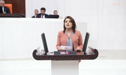 CHP'li Kış: 'Hangi veriye bakarsanız bakın enflasyon yeniden yükseliyor, 28 bin 75 liralık asgari ücretin 2 bin 232 lirası enflasyon karşısında yok oldu'