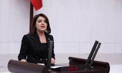 CHP'li Kış'tan Bakan Uraloğlu'nun THY ile ilgili soru önergesine verdiği yanıta tepki: 'Özel hukuk' cümlesinin arkasına saklanarak uçuş güvenliği tartışmalarını geçiştiremez