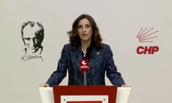 CHP'li Rızvanoğlu: '4 milyon 800 bin metrekare alan bir gecede orman sınırları dışına çıkarıldı'