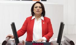 CHP'li Şevkin: 'Adana'da yaşanan her taşkın bize şunu göstermektedir: Su yönetimi yatırımları ertelenemez'