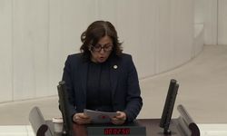 CHP'li Türkan Elçi: Cezasızlık ve öfke kültürü toplumu şiddete sürüklüyor