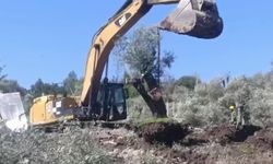 CHP'li Uzun: 'Akbelen'i rahat bırakın artık. Toprağımızı, havamızı, suyumuzu ve zeytinlerimizi korumaya kararlıyız'