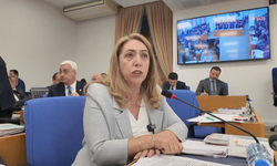 DEM Parti disiplin kurulunda soruşturma süreci başlatılan DEM Parti Mardin Milletvekili Salihe Aydeniz, TBMM İdare Amirliği görevinden çekildi