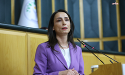 DEM Parti Eş Genel Başkanı Hatimoğulları: 'Gazi ve Ümraniye katliamlarının 31. yılında katledilen canlarımızı saygıyla anıyorum'