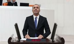 DEM Parti'den TBMM'ye 'umut hakkı' başvurusu: 'Ağırlaştırılmış müebbet hükümlüleri açısından umut hakkını güvence altına alacak mekanizma kurulmalı'