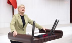 DEM Partili Koca, cezaevinde BİRTEK-SEN Genel Başkanı Türkmen'i ziyaret etti