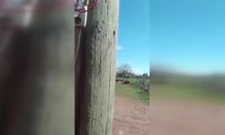 Dicle Elektrik, 20 metrelik gizli düzeneği ortaya çıkardı