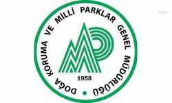 Doğa Koruma ve Milli Parklar Genel Müdürlüğü: Güme içerisinde avcılık yapan 3 kişi hakkında idari işlem uygulandı