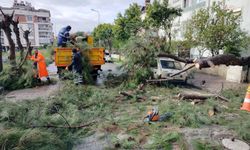 Efeler Belediyesi ekipleri, olumsuz hava koşullarına karşı sahada