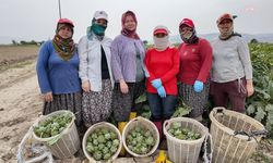 Efeler'de kadınlar, üretimde ve sosyal hayatta daha güçlü yer alıyor