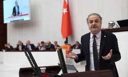 EMEP'li Bayhan, Dardanel hakkında idari işlem başlatılıp başlatılmayacağını sordu