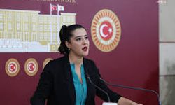 EMEP'li Karaca, Kenan Şener'in gözaltına alınmasını TBMM gündemine taşıdı