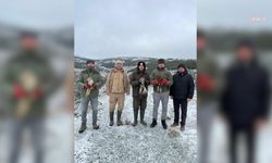 Eskişehir Hayvanat Bahçesi'nde tedavi edilen yırtıcı kuşlar doğaya salındı